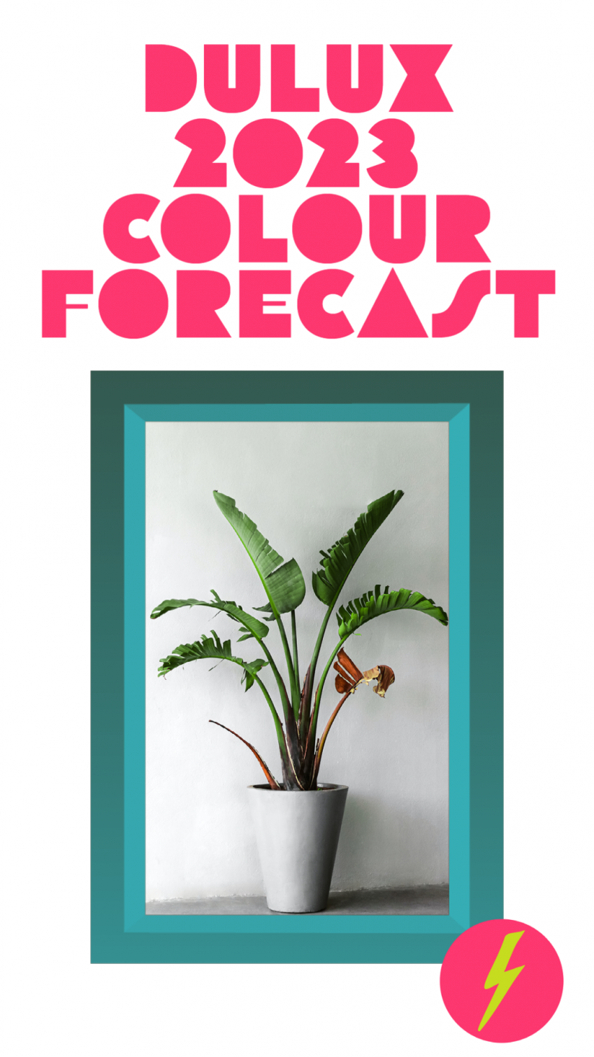 Image of indoor plant in pot in a frame with heading for article